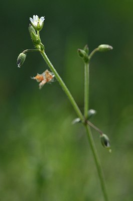 BUITEN BEELD Foto: 167344