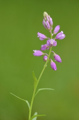 BUITEN BEELD Foto: 167347