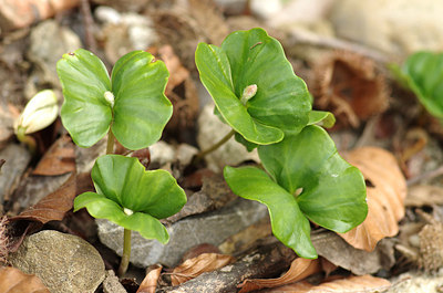 BUITEN BEELD Foto: 167357