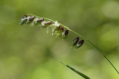 BUITEN BEELD Foto: 167362