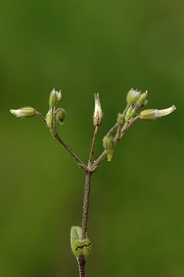 BUITEN BEELD Foto: 167365