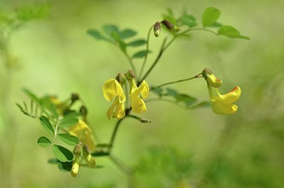 BUITEN BEELD Foto: 167367