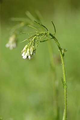 BUITEN BEELD Foto: 167389