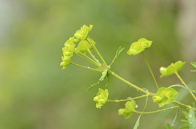 BUITEN BEELD Foto: 167394