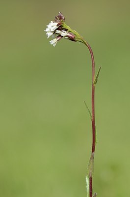 BUITEN BEELD Foto: 167397