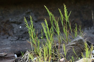 BUITEN BEELD Foto: 167409