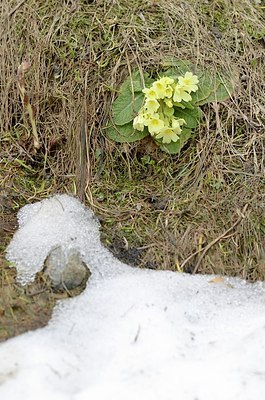 BUITEN BEELD Foto: 167412