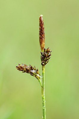 BUITEN BEELD Foto: 167421