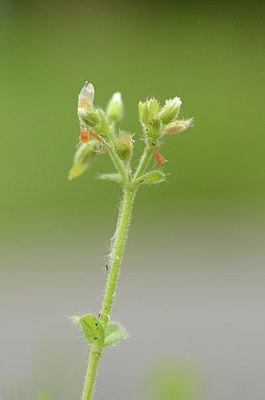 BUITEN BEELD Foto: 167431