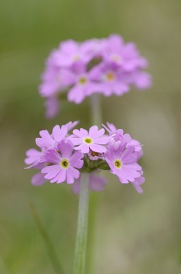 BUITEN BEELD Foto: 167436