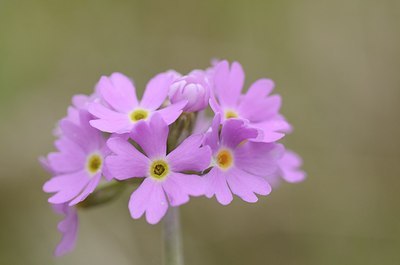 BUITEN BEELD Foto: 167439