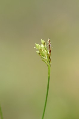 BUITEN BEELD Foto: 167441