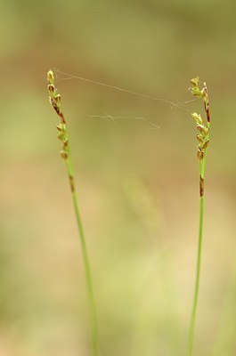 BUITEN BEELD Foto: 167448