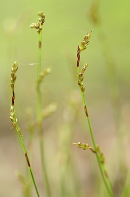 BUITEN BEELD Foto: 167451