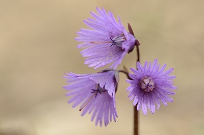 BUITEN BEELD Foto: 167456