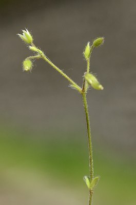 BUITEN BEELD Foto: 167466