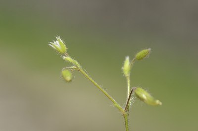 BUITEN BEELD Foto: 167469