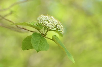 BUITEN BEELD Foto: 167470