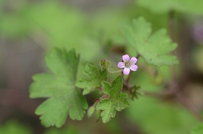 BUITEN BEELD Foto: 167475