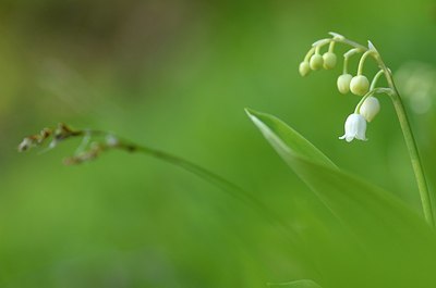 BUITEN BEELD Foto: 167478