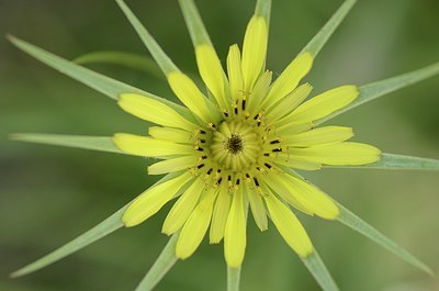 BUITEN BEELD Foto: 167494