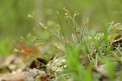 BUITEN BEELD Foto: 167506