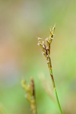 BUITEN BEELD Foto: 167517