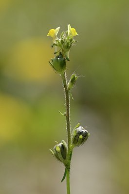 BUITEN BEELD Foto: 167526