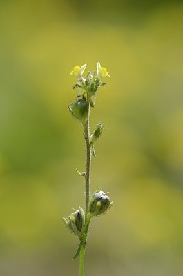 BUITEN BEELD Foto: 167529