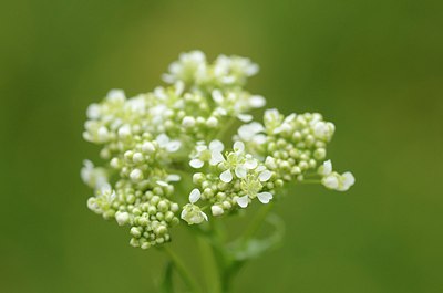 BUITEN BEELD Foto: 167530