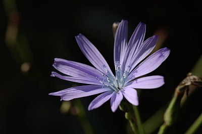 BUITEN BEELD Foto: 167538