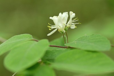 BUITEN BEELD Foto: 167540