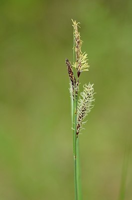 BUITEN BEELD Foto: 167543