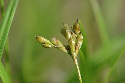 BUITEN BEELD Foto: 167570