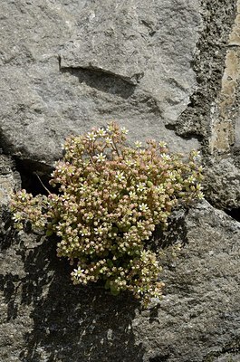 BUITEN BEELD Foto: 167571