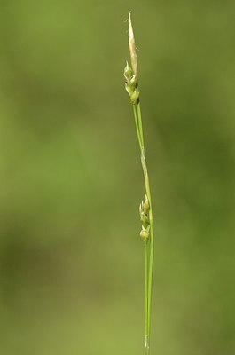 BUITEN BEELD Foto: 167583