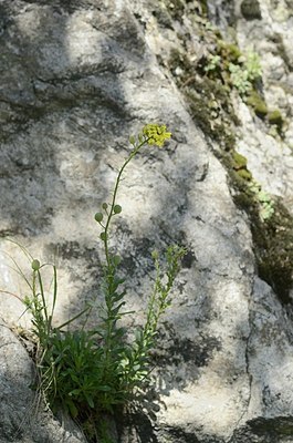 BUITEN BEELD Foto: 167591