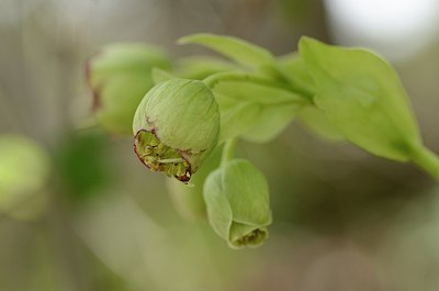 BUITEN BEELD Foto: 167616