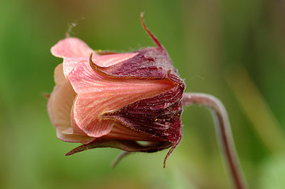 BUITEN BEELD Foto: 167617