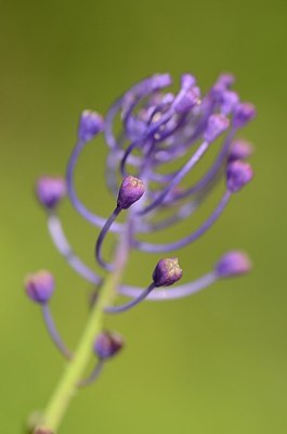 BUITEN BEELD Foto: 167624