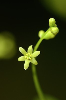BUITEN BEELD Foto: 167628