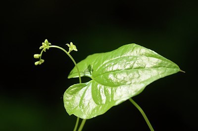 BUITEN BEELD Foto: 167629