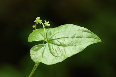 BUITEN BEELD Foto: 167632