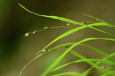 BUITEN BEELD Foto: 167633