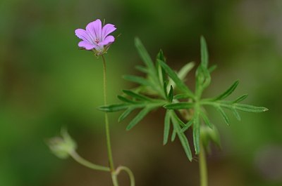 BUITEN BEELD Foto: 167636