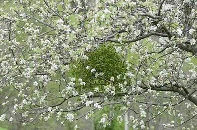 BUITEN BEELD Foto: 167654