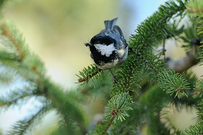 BUITEN BEELD Foto: 167658