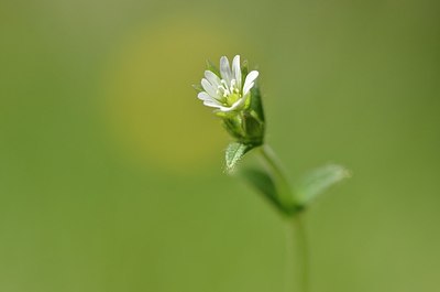 BUITEN BEELD Foto: 167660