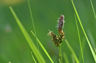 BUITEN BEELD Foto: 167663
