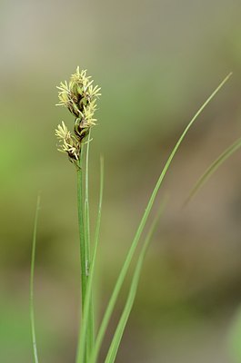 BUITEN BEELD Foto: 167664